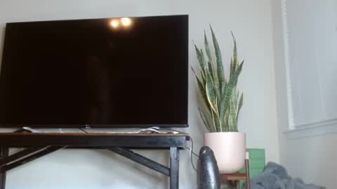 bambirachel1 online show from June 22, 2026, 11:02 pm