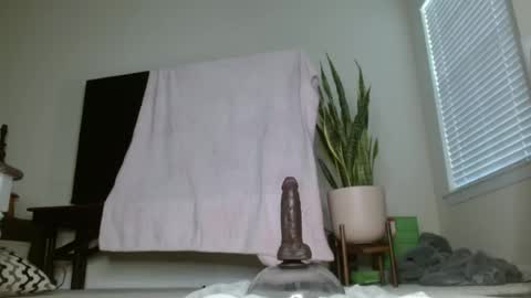 bambirachel1 online show from June 23, 2026, 11:36 pm