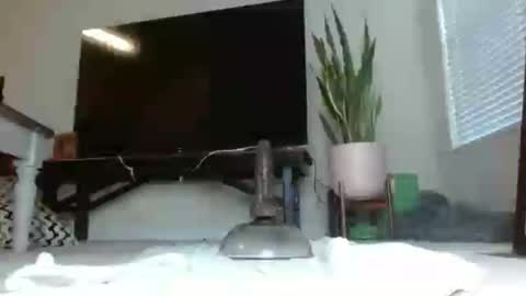 bambirachel1 online show from June 25, 2026, 9:41 pm
