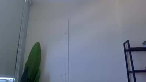 banana5289 online show from October 16, 2025, 4:52 pm