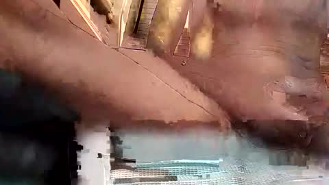 baobabtree8 online show from October 15, 2025, 2:17 pm