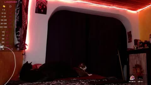 lilithgreen7 online show from December 20, 2025, 3:46 am