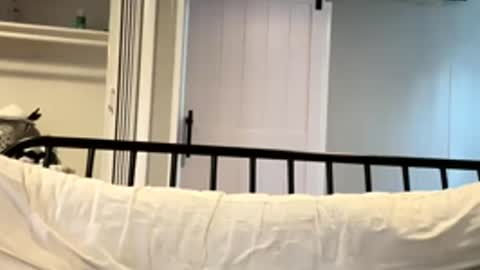 Tsbaby301 online show from March 2, 2026, 6:59 pm