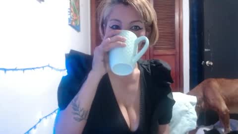 Snapshot of barbiemature chatting on May 28, 2026, 9:06 am barbiemature online show from May 28, 2026, 9:06 am