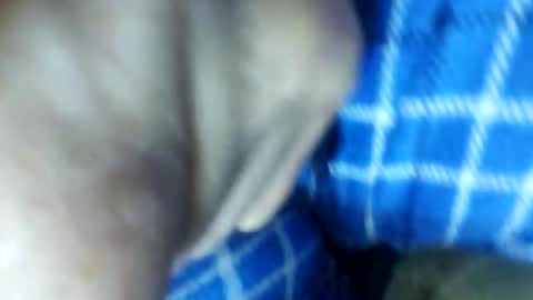 Snapshot of barbitall chatting on November 15, 2025, 3:08 pm barbitall online show from November 15, 2025, 3:08 pm