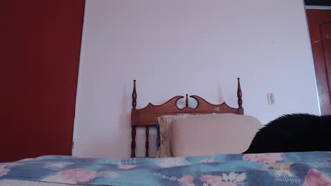 bayonette_black online show from September 27, 2025, 12:10 pm