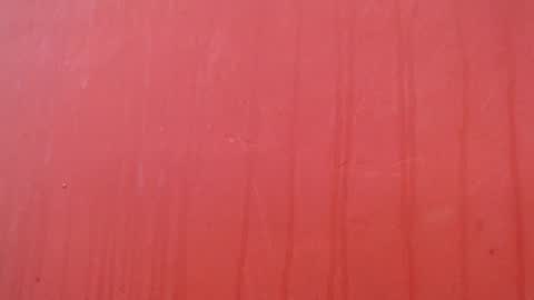 bayonette_black online show from December 17, 2025, 7:09 pm