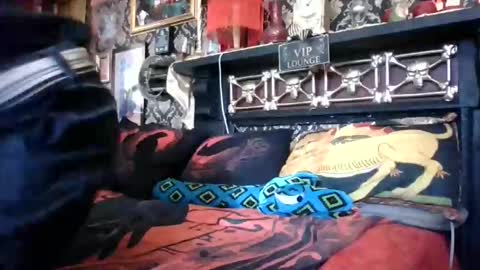 Snapshot of bazzasworld chatting on February 18, 2026, 5:03 am Bazza online show from February 18, 2026, 5:03 am