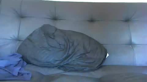 bby044 online show from January 9, 2025, 1:24 pm