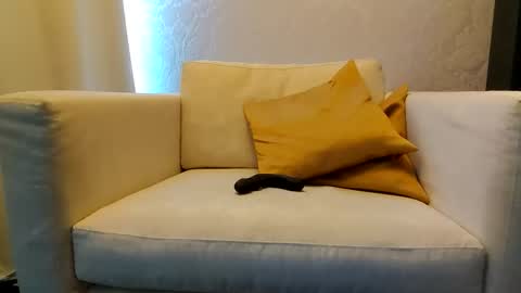 Snapshot of bd_19_6 chatting on February 9, 2026, 3:16 pm bd online show from February 9, 2026, 3:16 pm