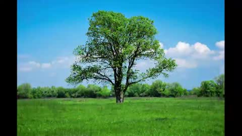 tits online show from November 14, 2025, 6:50 pm