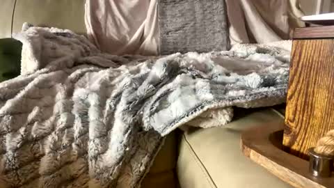 BeachyMILF online show from November 1, 2025, 5:26 pm