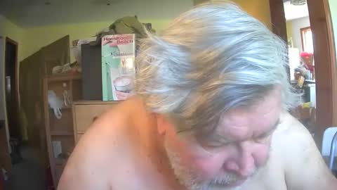 bear online show from April 26, 2026, 2:37 pm