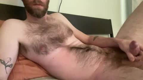 Snapshot of beardedchester chatting on December 9, 2024, 9:16 pm beardedchester online show from December 9, 2024, 9:16 pm