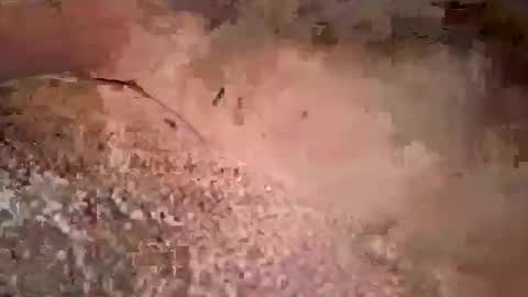 Snapshot of beautifulpeople23 chatting on March 29, 2026, 11:32 am beautifulpeople23 online show from March 29, 2026, 11:32 am