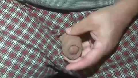 Snapshot of beer27 chatting on October 20, 2025, 2:12 am Reservoir Dogs online show from October 20, 2025, 2:12 am