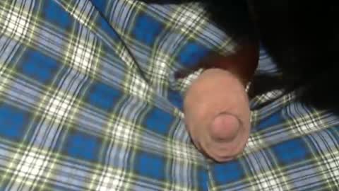 Snapshot of beer27 chatting on November 2, 2025, 9:06 pm Reservoir Dogs online show from November 2, 2025, 9:06 pm