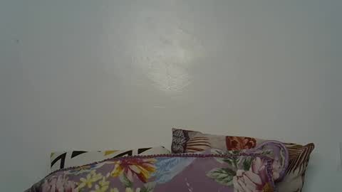 beeswee online show from December 19, 2024, 6:01 am