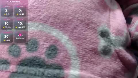 bekkasquirt online show from January 1, 2025, 12:21 am