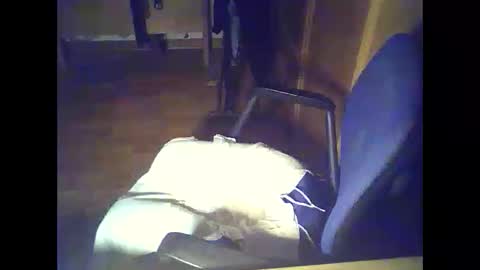 Snapshot of bekklove1 chatting on February 9, 2026, 2:37 am bekklove1 online show from February 9, 2026, 2:37 am