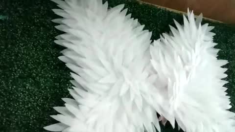 Snapshot of bela_rous chatting on June 18, 2026, 6:34 pm bela_rous online show from June 18, 2026, 6:34 pm
