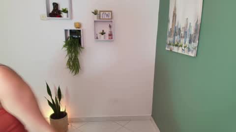 Bel 3 online show from December 17, 2024, 2:33 pm