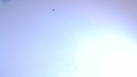 Snapshot of bella_adara1 chatting on February 8, 2025, 10:39 am CAMILA online show from February 8, 2025, 10:39 am