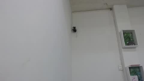 Snapshot of bella_lady_1_ chatting on February 9, 2025, 6:47 pm lady online show from February 9, 2025, 6:47 pm