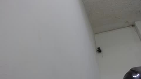 Snapshot of bella_lady_1_ chatting on February 13, 2025, 8:24 pm lady online show from February 13, 2025, 8:24 pm