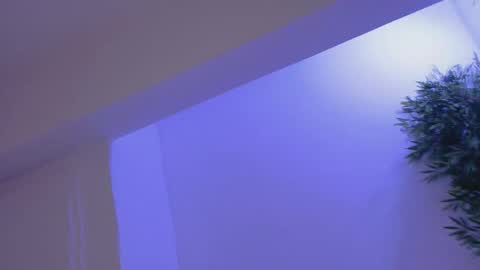 Snapshot of bella_vixen_ chatting on February 19, 2026, 8:49 pm Bella online show from February 19, 2026, 8:49 pm