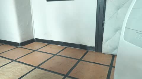    online show from December 19, 2024, 1:51 pm