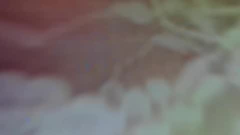 Snapshot of bellaporchxxx chatting on February 26, 2025, 2:59 am Bella Porch online show from February 26, 2025, 2:59 am