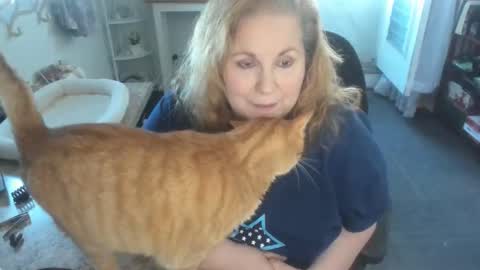Snapshot of bellavoca chatting on April 11, 2026, 6:01 pm Bellavoca online show from April 11, 2026, 6:01 pm