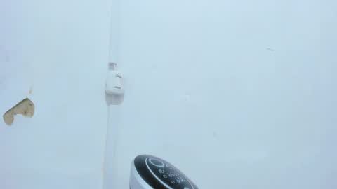 Bellota Flak online show from December 14, 2024, 4:56 am