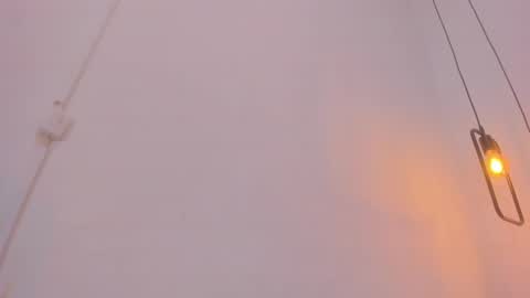 Bellota Flak online show from December 28, 2024, 8:26 am