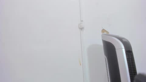 Bellota Flak online show from December 30, 2024, 8:32 am