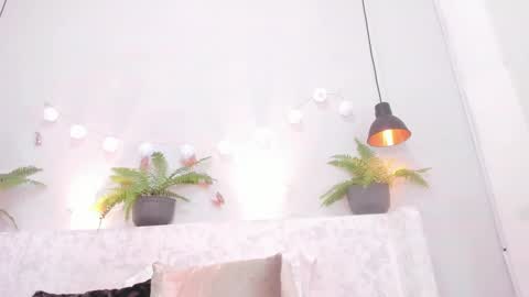 Bellota Flak online show from March 5, 2025, 8:32 am