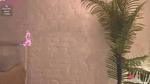 Snapshot of bennymurrh_ chatting on February 26, 2025, 4:56 pm Benny my telegram channel bennymurrh online show from February 26, 2025, 4:56 pm