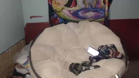 Bent Bunny online show from July 22, 2026, 2:53 pm