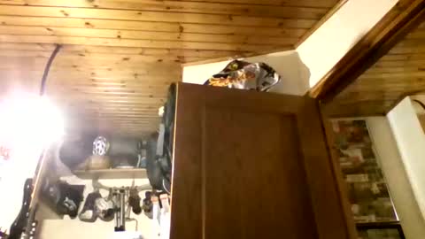 Snapshot of bernichaos77 chatting on February 21, 2026, 2:34 am bernichaos77 online show from February 21, 2026, 2:34 am