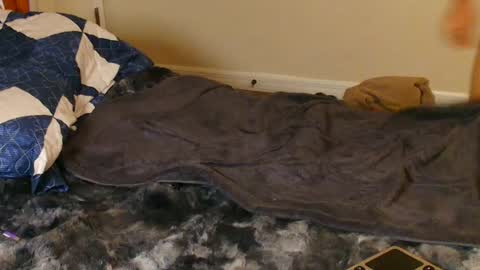 twitter zack1fisher online show from December 19, 2024, 2:45 am