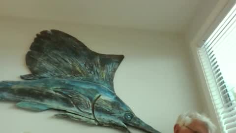 Snapshot of bestshot1951 chatting on March 20, 2026, 1:49 pm bestshot1951 online show from March 20, 2026, 1:49 pm