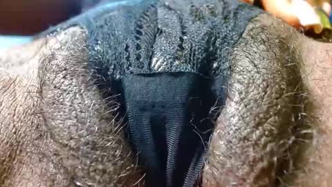 Bethany Wilson online show from January 24, 2025, 3:34 pm