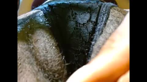 Bethany Wilson online show from February 21, 2025, 4:59 pm