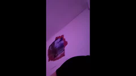 bgiamba21 online show from February 7, 2026, 10:19 am