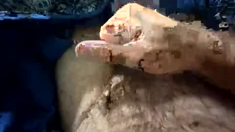 Snapshot of big88385909 chatting on October 21, 2025, 12:11 am big88385909 online show from October 21, 2025, 12:11 am