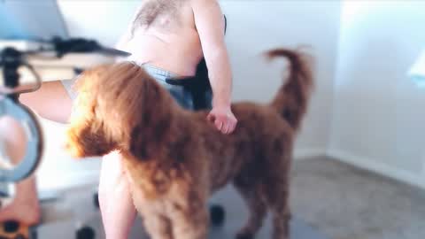 Alcide Herveaux online show from February 25, 2026, 5:00 pm