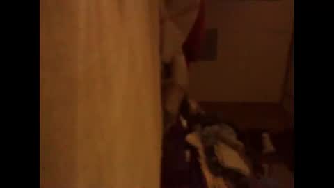 BB online show from November 13, 2025, 3:05 am