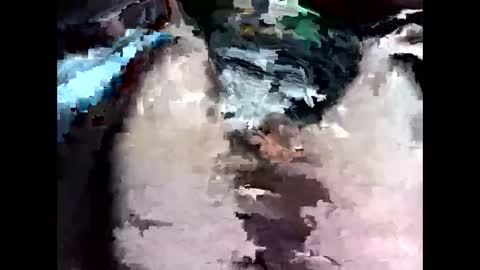 Snapshot of bigbird0100101 chatting on February 7, 2026, 6:55 pm bigbird0100101 online show from February 7, 2026, 6:55 pm