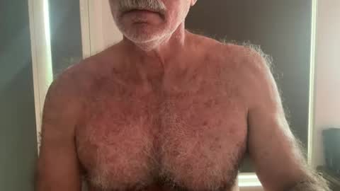 Snapshot of bigbush1 chatting on May 19, 2026, 1:56 am big bush online show from May 19, 2026, 1:56 am